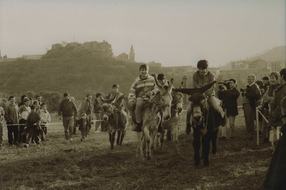 Fotografia: La imatge