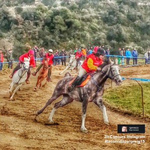 2015_instagram_ROGER_GENESCA